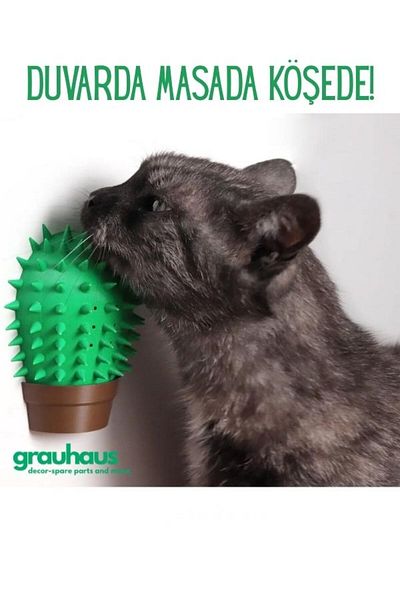 GRAUHAUS Cactus Cat Scratching Scratching Tool Cat Feather Grooming Cactus Cat Grooming Cactus Cat Toy