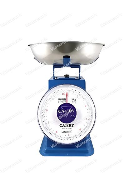 rexa Camry SP-5KG Digital Kitchen Scale – Blue, High Precision