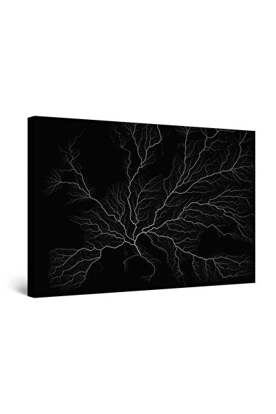 startonight Tablou DualView Startonight Copac Harta Alb - Negru Drum catre Ro...