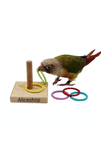 aliceshop Bird Intelligence and Skill Toy