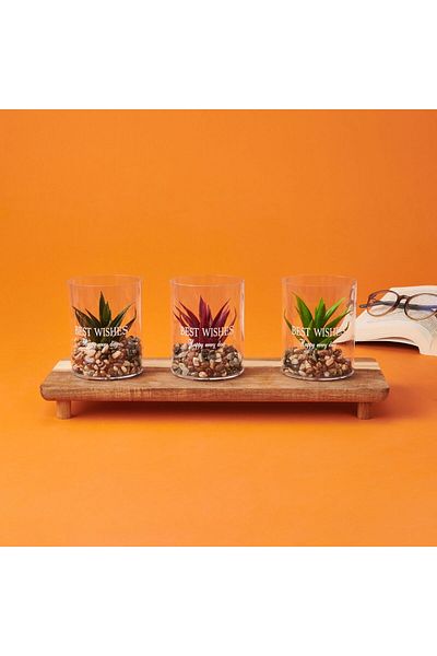 ASPARTAM Διακοσμητικό Ποτήρι Succulent - - 8x10 cm