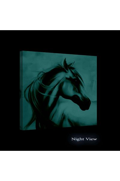startonight DualView Startonight Picture Wonderful White Horse, Glowing in the Dark, 80 x 80 cm