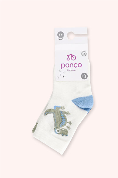 Panço Erkek Bebek 3'lü Soket Çorap seti