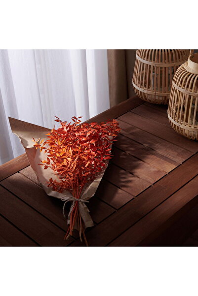 Evidea Ruscus Yapay Çiçek - Turuncu - 50x20 cm