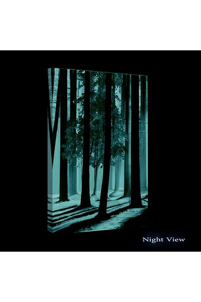 startonight Tablou DualView Startonight Padure Luminata cu Copaci cu Frunze Galbene, 60 x 90 cm
