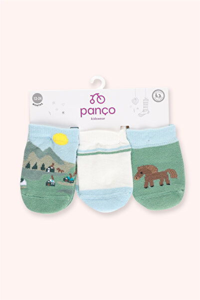 Panço 3'lü Patik Çorap set