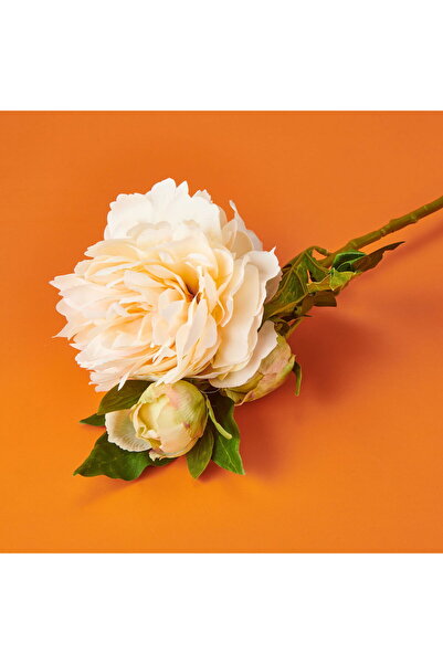 Herdekora Peony Artificial Flower - Cream - 65 cm