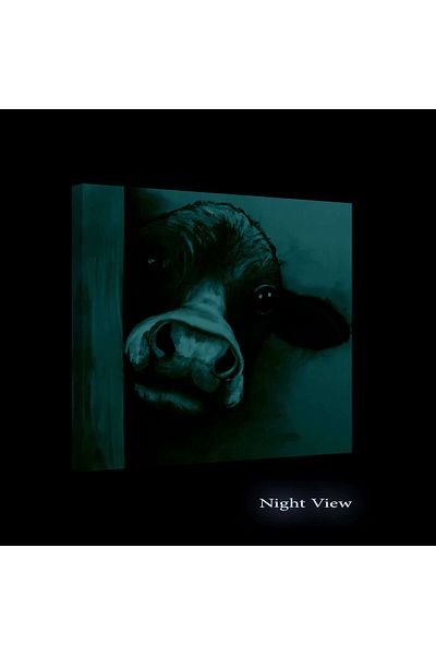 startonight Tablou DualView Startonight Vacuta Dragalasa Maro, luminos in intuneric, 80 x 80 cm
