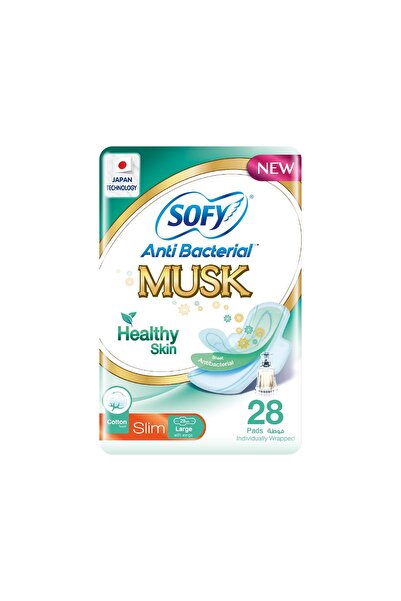sofy Healthy Skin Anti-Bacterial Slim With Wings Size 29cm Large 28 pcs
