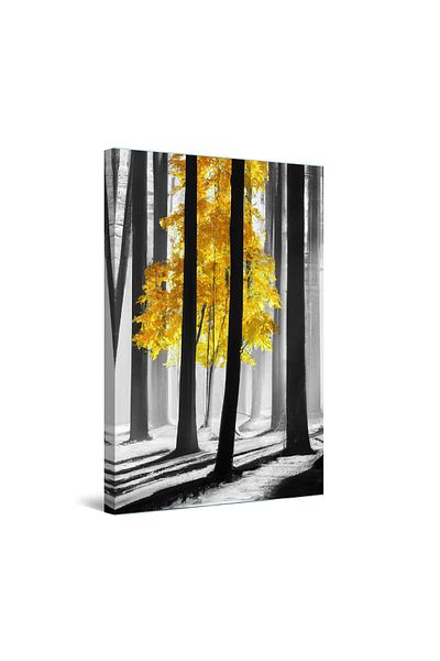 startonight Tablou DualView Startonight Padure Luminata cu Copaci cu Frunze Galbene, 80 x 120 cm
