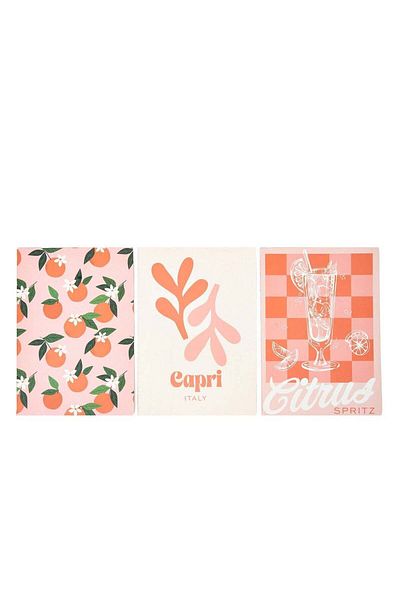 PRICKLY PEAR Set Of 3 Dolce Vita B5 Size Notebooks