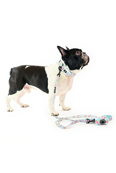 Famous Frenchie Zgarda pentru caini, Famous Frenchie, Roses are Pink