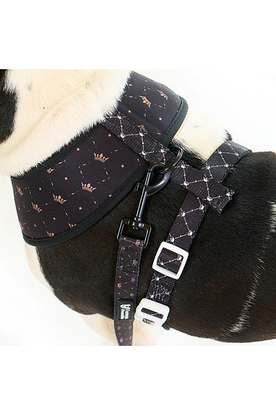 Famous Frenchie Dog leash, Famous Frenchie, King & Queen, 150 cm