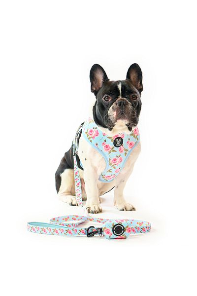 Famous Frenchie Accesoriu pungi pentru catei, Famous Frenchie, Roses are Pink