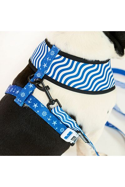 Famous Frenchie Lesa pentru caini, Famous Frenchie, Prince of the Sea, 150 cm