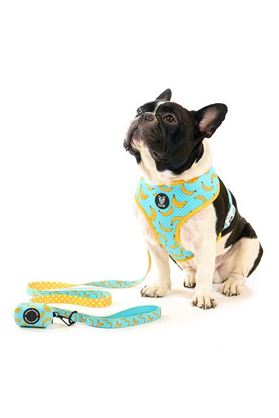 Famous Frenchie Puppy bag accessory, Famous Frenchie, Banana Split