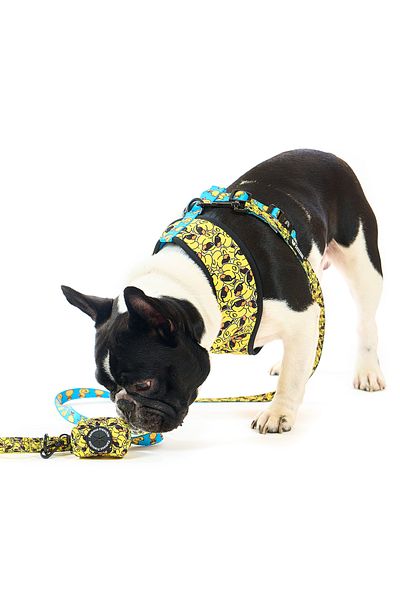Famous Frenchie Puppy bag accessory, Famous Frenchie, Yellow Duck Mafia
