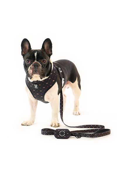 Famous Frenchie Puppy bag accessory, Famous Frenchie, King & Queen