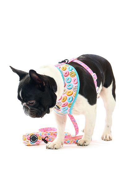 Famous Frenchie Accesoriu pungi pentru catei, Famous Frenchie, Donut Mania