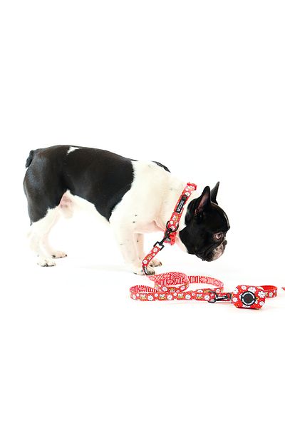 Famous Frenchie Accesoriu pungi pentru catei, Famous Frenchie, Popcorn Fever