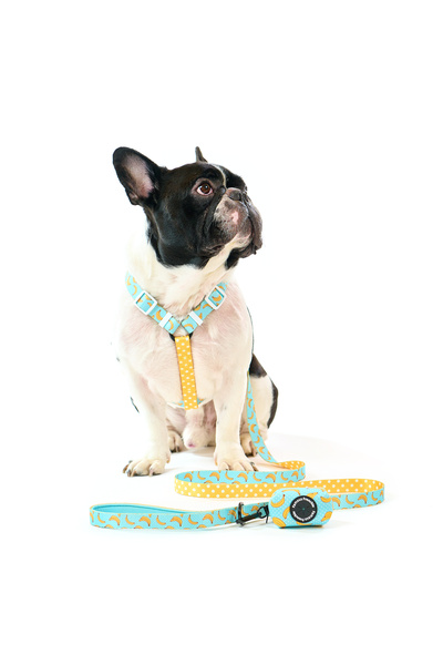 Famous Frenchie Accesoriu pungi pentru catei, Famous Frenchie, Banana Split