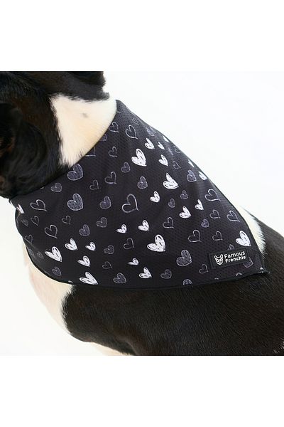 Famous Frenchie Dog bandana, Famous Frenchie, Black Hearts