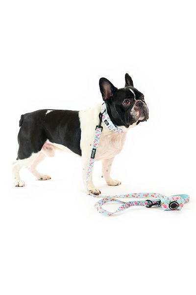 Famous Frenchie Set 3 piese, zgarda, lesa, accesoriu pungi pentru catei, Roses are Pink