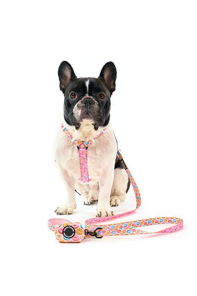 Famous Frenchie Set 3 piese, ham ajustabil, lesa, accesoriu pungi pentru catei, Donut Mania