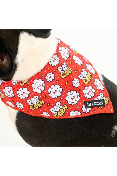 Famous Frenchie Dog bandana, Famous Frenchie, Popcorn Fever