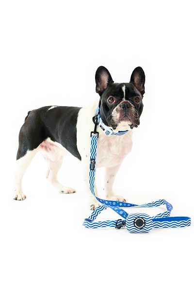 Famous Frenchie Set 3 piese, zgarda, lesa, accesoriu pungi pentru catei, Prince of the Sea