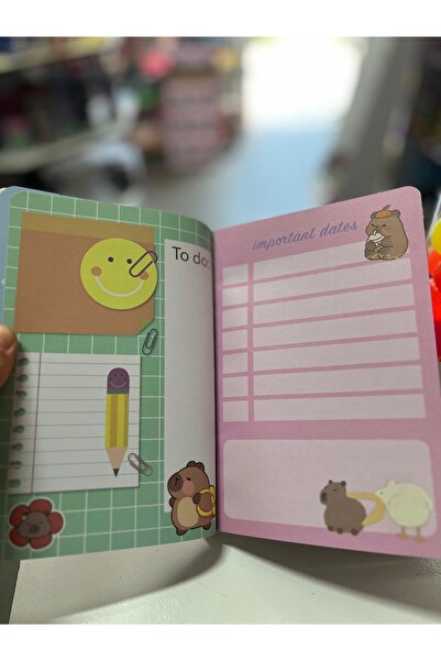 1000 çeşit hediye dünyası Notebook with Magnetic Cover Cappy Bara