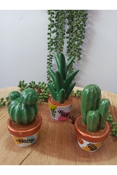 Dekoratif ÜÇLÜ KAKTÜS SETİ