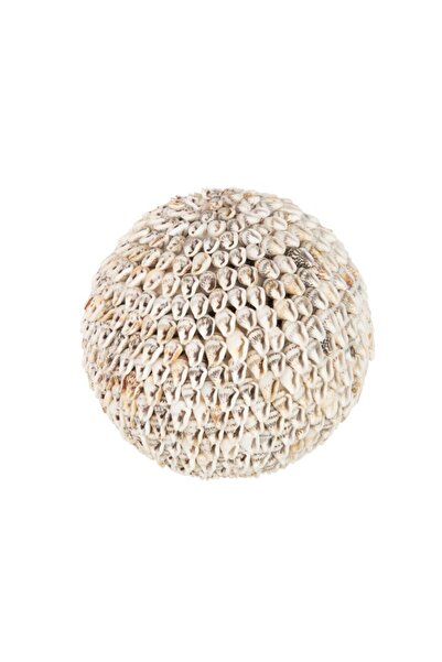 Laromita Decoration TOP KABUK OBJE