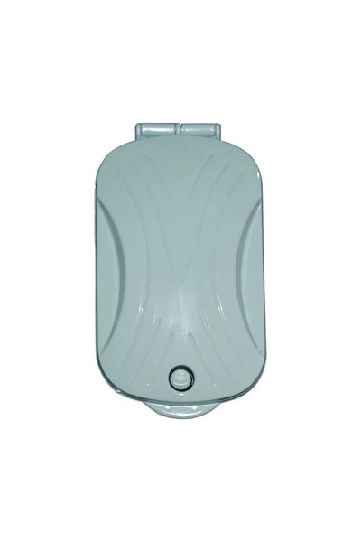 flores Carpet cleaning brush, green, 100 x 170 mm