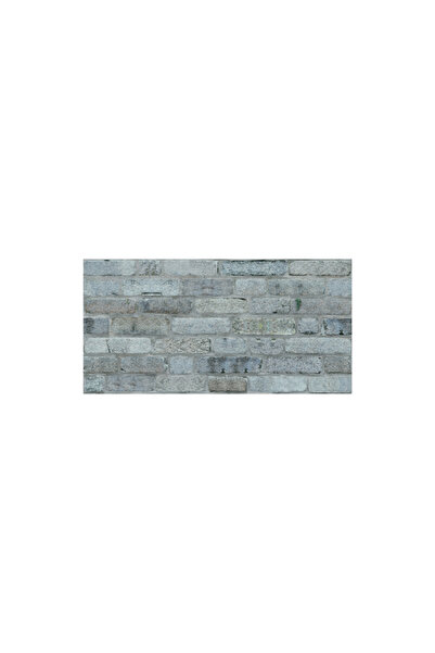 Ramsoy Taş Desen Strafor Panel 100x50 cm - Model A-201