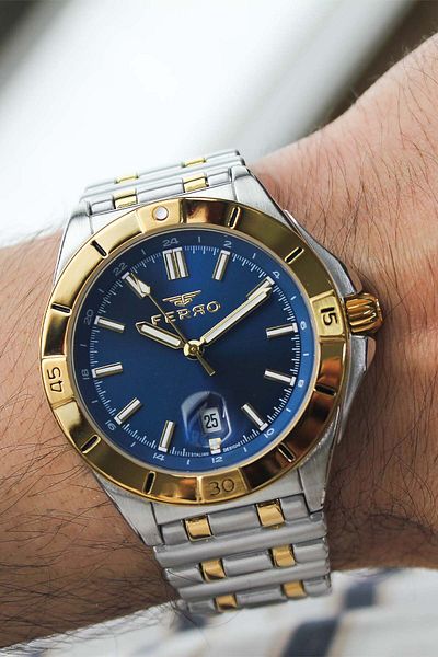 FERRO F43017D3 Men's Wrist Watch with Steel Cord
