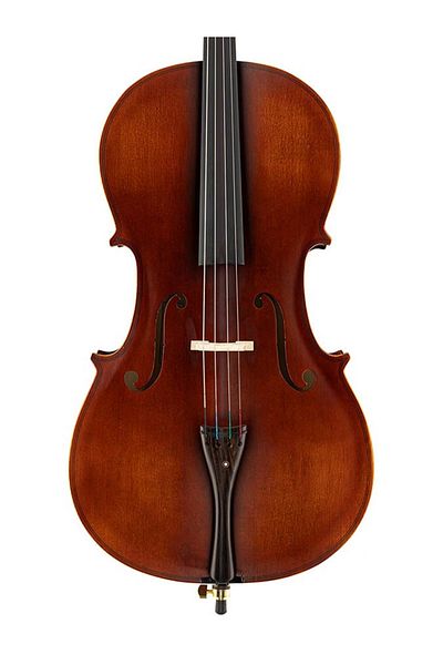LEONARDO LC1344 Cello set size 4/4 bow, case, fixings