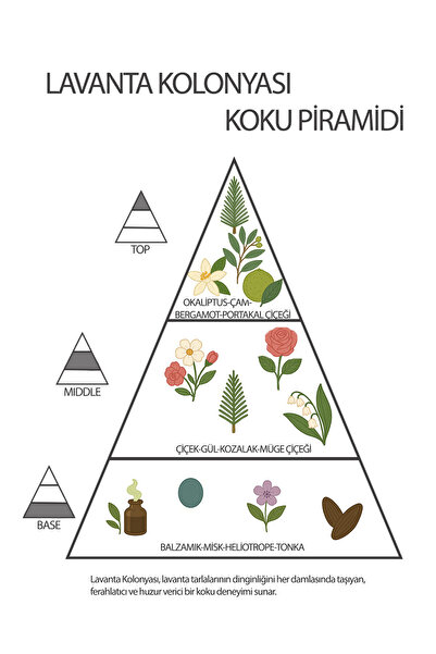 Jest 3'LÜ MİNİ SET KOLONYA (Lavanta-Yeşilçay-Limon)