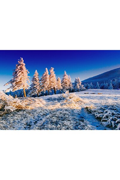 media Tablou canvas Natura136, 45 x 30 cm