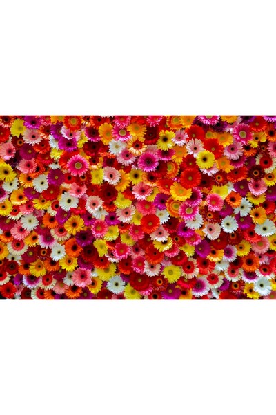 media Tablou canvas Flori127, 45 x 30 cm