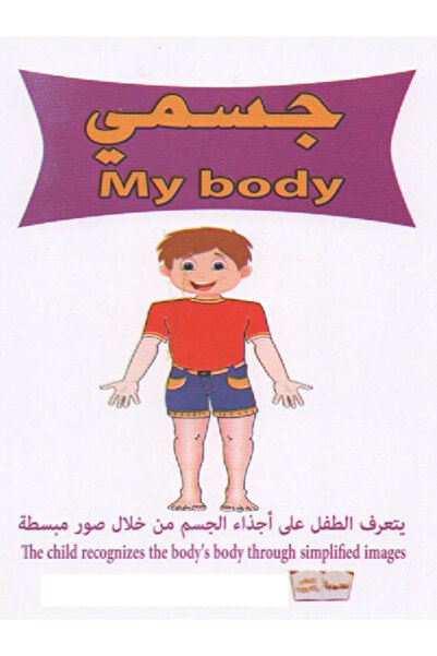 Educational Toys My Body Cards