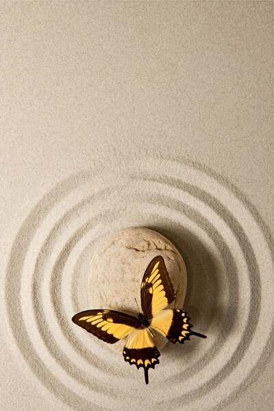 media Tablou canvas Sand&Stone34, 60 x 90 cm