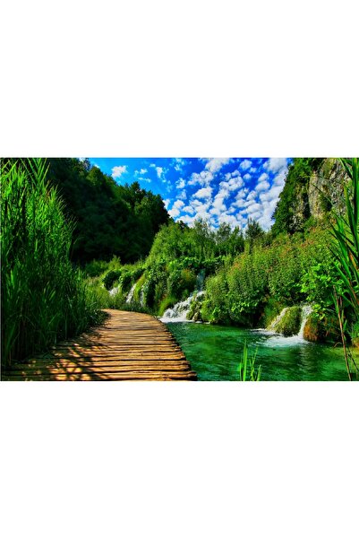 media Tablou canvas Natura 13, 90 x 60 cm