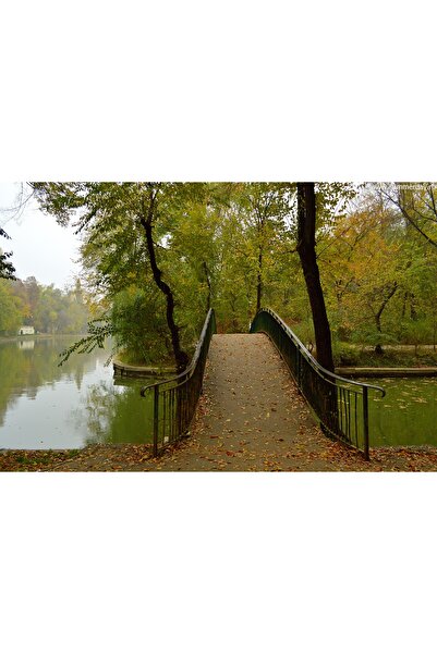 media Tablou canvas In parc toamna, 45 x 30 cm