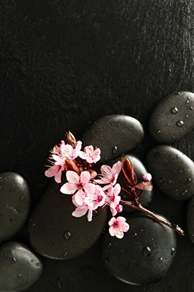 media Tablou canvas Flori147, 70 x 105 cm