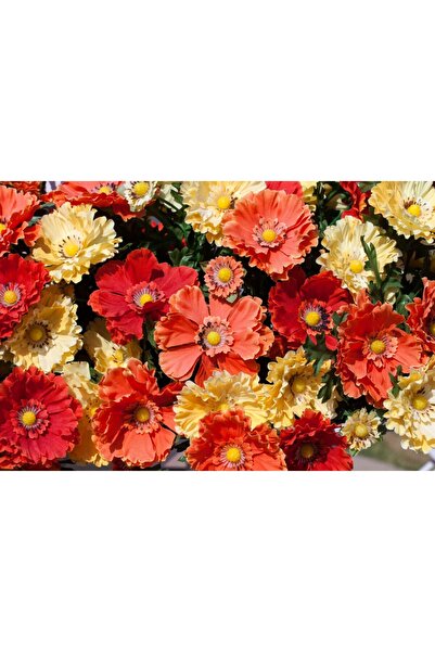 media Tablou canvas Flori95, 75 x 50 cm