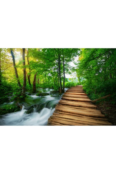 media Tablou canvas Padure58 cu rau, 75 x 50 cm