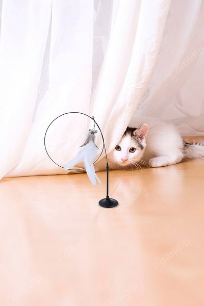CMT 😺 Cat Playing Fishing Rod with Suction Cup