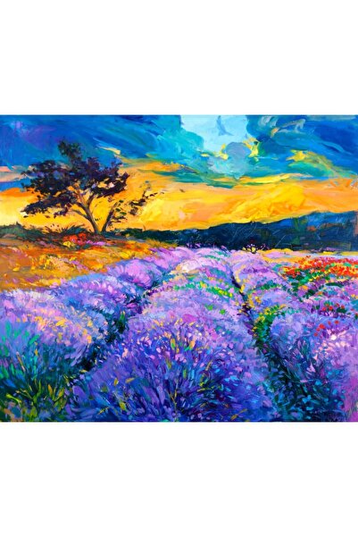 media Tablou canvas Lavanda, camp, pictura, 75 x 50 cm