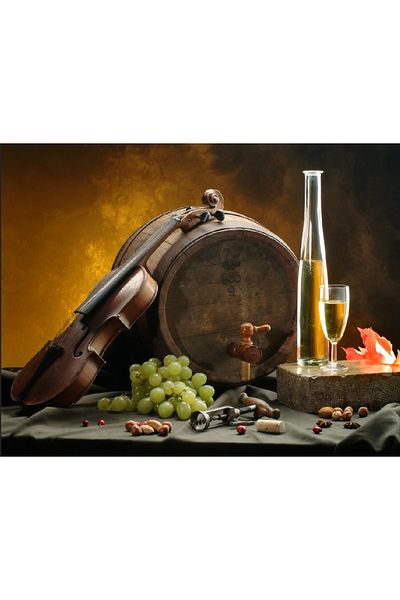 media Canvas painting Violin and wine, 45 x 30 cm